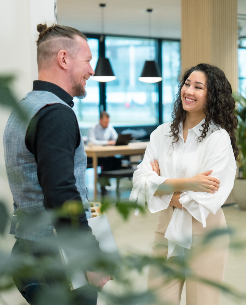 PMO | Aeves Interim Management